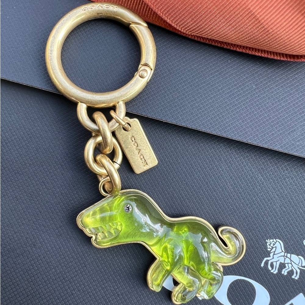 Coach bag charm